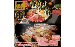 【ふるさと納税】【定期便】鳥取和牛 極上サーロインステーキとすき焼き定期便 12か月 TB8