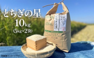 とちぎの星 10kg 5kg × 2袋 栃木県 野木町産 令和6年 KB02