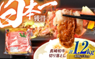 長崎和牛 切り落とし 1.2kg（400g×3）肩ロース・モモ・カタ・バラ使用 / 牛肉 ぎゅうにく 肉 和牛 国産牛 切落し / 諫早市 / 西日本フード株式会社[AHAV005]