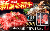 【特Aのブランド米で育てた】諫美牛 切り落とし 500g(250g×2) / 牛肉 ぎゅうにく 和牛 牛 肉 国産 切り落とし 切り落し 切りおとし / 諫早市 / 株式会社土井農場 [AHAD090]