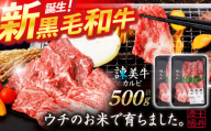 【特Aのブランド米で育てた】諫美牛 カルビ 500g(250g×2) / 牛肉 ぎゅうにく 和牛 牛 肉 国産 かるび 焼肉 やきにく / 諫早市 / 株式会社土井農場 [AHAD091]