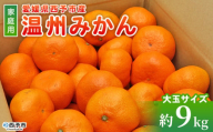 [愛媛県西予市産 温州みかん 大玉サイズ 家庭用 約9kg] 愛媛県産 西宇和 大玉 大きめ 家庭用 果物 フルーツ 柑橘 うんしゅうみかん ウンシュウミカン オレンジ ミカン 蜜柑 訳あり 小林果園 愛媛県 西予市 [常温]