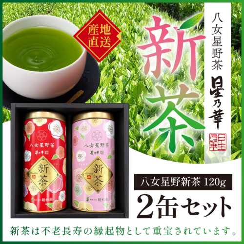 A1502.【新茶】八女星野茶（120g×2缶）／2025年5月～7月中旬頃発送【八女茶】 1536696 - 福岡県新宮町