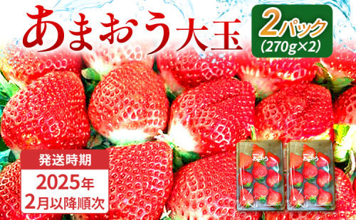 期間限定 いちご あまおう 苺 イチゴ 540g あまおう（大玉）、2パック（270g/パック）【2025年2月以降順次発送】 フルーツ 果物 くだもの 大玉 ※北海道・沖縄・離島は配送不可 大木町産 おおきベリー CT003 1536704 - 福岡県大木町