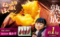 愛媛大洲育ち 熟成紅はるか焼き芋 1kg（4から6本入り） 冷やし焼き芋 レンジで焼き芋 サツマイモ さつまいも やき芋 冷蔵 小分け 個包装 愛媛県大洲市/(有)玉井民友商店 [AGBY007]