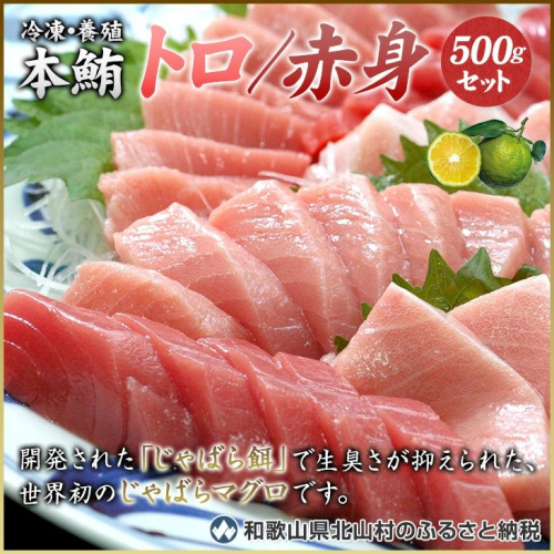 【期間限定 特別寄付額】【串本町×北山村】本マグロ（養殖）トロ＆赤身セット500ｇ【1月発送分】【nks110_cp-1】 1537464 - 和歌山県北山村