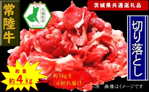 【4か月定期便】【常陸牛】切り落とし 約1kg【定期便】計4回 総量約4kg（茨城県共通返礼品）【常陸牛　茨城県産　日立市】 1537584 - 茨城県日立市