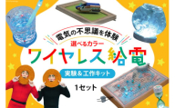 工作 実験 ワイヤレス 給電 実験 ＆ 工作キット 1セット ホワイト [ビー・アンド・プラス 埼玉県 小川町 267] 体験 電気 ロボット 勉強 科学 おうち時間