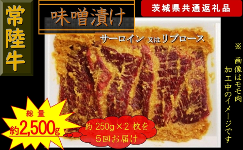 【5か月定期便】【常陸牛】常陸牛の味噌漬け（サーロイン又はリブロース）約500g【定期便】計5回 総量約2,500g（茨城県共通返礼品）【 常陸牛 茨城県 日立市 】 1537787 - 茨城県日立市