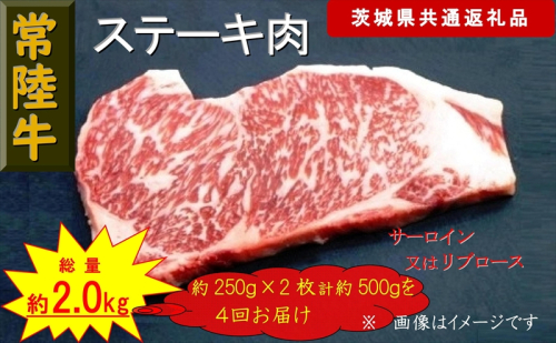 【4か月定期便】【常陸牛】ステーキ用肉 約500g【定期便】計4回 総量約2,000g（茨城県共通返礼品）【 常陸牛 茨城県 日立市 】 1537807 - 茨城県日立市