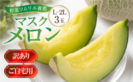 先行予約 訳あり マスクメロン L〜2L 3玉 メロン 野菜ソムリエ推薦 数量限定 渥美半島 伊良湖潮風育ち 田原市 ご自宅用 お取り寄せ 産地直送 送料無料 12000円