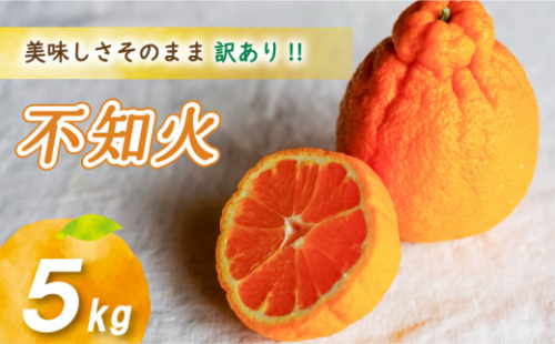 【2027年2月中旬頃から順次発送】 訳あり不知火 5kg | 数量選択可 みかん ミカン 蜜柑 柑橘 数量限定 愛媛県産 松山市 中島 愛媛 ふるさと納税