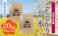 ＜配送時期が選べて便利＞ 令和6年産 真室川町 コシヒカリ  ［玄米］ 20kg（10kg×2袋）