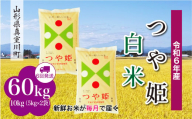 ＜配送時期が選べて便利＞ 令和6年産 真室川町 つや姫  ［白米］ 60㎏ 定期便（10kg×6回お届け）