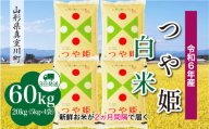 ＜配送時期が選べて便利＞ 令和6年産 真室川町 つや姫  ［白米］ 60㎏ 定期便（20kg×3回お届け）