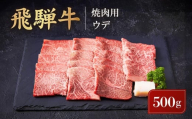 [11月配送]飛騨牛 焼肉用 ウデ 500g | 黒毛和牛 ブランド和牛 BBQ 肉料理 旨味 発送時期が選べる 高山米穀協業組合 FA007VC11