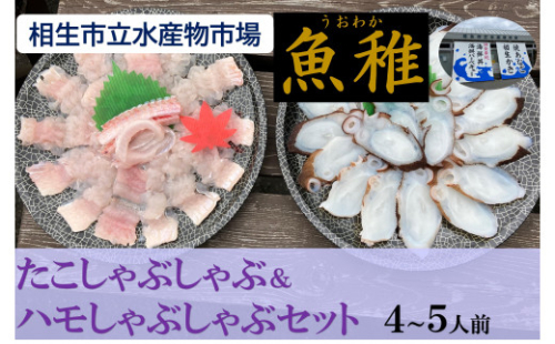 【兵庫県相生市】 相生市立水産物市場「魚稚」の たこ＆ハモしゃぶしゃぶセット ４～５人前 1538193 - 兵庫県相生市