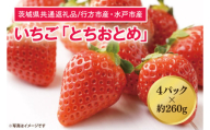 【茨城県共通返礼品/行方市産・水戸市産】【2025年1月より順次発送】いちご 「とちおとめ」 約260gパック×4【いちご 苺 イチゴ フルーツ 果物 ジューシー 水戸市 水戸 茨城県】（LO-2）