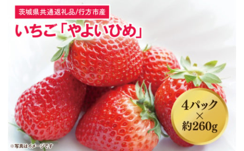 【茨城県共通返礼品/行方市産】【2026年1月より順次発送】いちご 「やよいひめ」 約260gパック×4【いちご 苺 イチゴ フルーツ 果物 ジューシー 水戸市 水戸 茨城県】（LO-3）