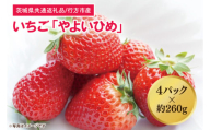 【茨城県共通返礼品/行方市産】【2025年1月より順次発送】いちご 「やよいひめ」 約260gパック×4【いちご 苺 イチゴ フルーツ 果物 ジューシー 水戸市 水戸 茨城県】（LO-3）