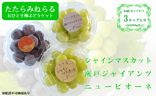 【2025年先行予約】 ぶどう 岡山県産 たたらみねらる アンサンブルカップ( シャインマスカット ・ 瀬戸ジャイアンツ ・ ニューピオーネ )3カップ入 900g以上《2025年8月下旬-10月上旬出荷》 岡山 里庄町 1538400 - 岡山県里庄町