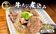 仙台牛 牛スジ煮込み 300g 10個セット 冷凍発送　牛肉 [№5704-0859]