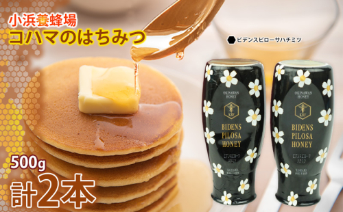 コハマのハチミツ 500g 2本セット（ビデンスピローサ） 国産 はちみつ ハチミツ 蜂蜜 hatimitu ハニー HONEY 蜜 さし草 ビデンスピローサ 朝食 グルメ 健康 贈答 プレゼント ギフト セット 内祝い 沖縄県産 沖縄 1538691 - 沖縄県沖縄市