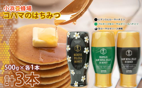 コハマのハチミツ 500g 3本セット 国産 はちみつ ハチミツ 蜂蜜 hatimitu ハニー HONEY 蜜 さし草 プロポリス 生ローヤルゼリー 詰め合わせ 食べ比べ 朝食 グルメ 健康 ギフト セット 内祝い 沖縄 1538693 - 沖縄県沖縄市