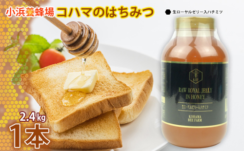 コハマのハチミツ 2.4kg 1本（生ローヤルゼリー入） 国産 はちみつ ハチミツ 蜂蜜 hatimitu ハニー HONEY 蜜 生ローヤルゼリー 瓶詰 大容量 グルメ 健康 朝食 プレゼント ギフト 贈答 内祝い 沖縄県産 沖縄 1538778 - 沖縄県沖縄市