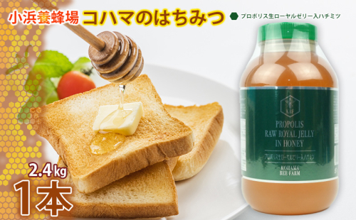 コハマのハチミツ 2.4kg 1本（プロポリス入） 国産 はちみつ ハチミツ 蜂蜜 hatimitu ハニー HONEY 蜜 プロポリス 瓶詰 大容量 グルメ 健康 朝食 プレゼント ギフト 贈答 内祝い 沖縄県産 沖縄 1538779 - 沖縄県沖縄市