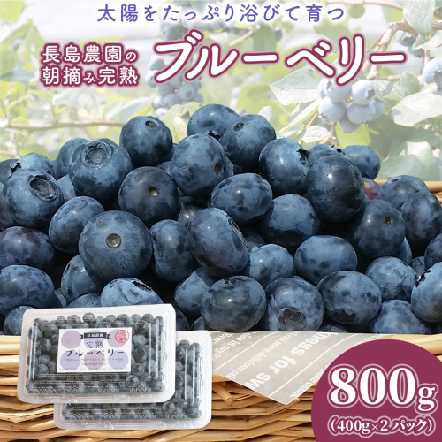 ブルーベリー 800g ( 400g × 2パック ) 【2026年6月から発送開始】 国産 茨城県産 ベリー フルーツ 果物 くだもの 自家製栽培[AK003sa] 1538963 - 茨城県桜川市