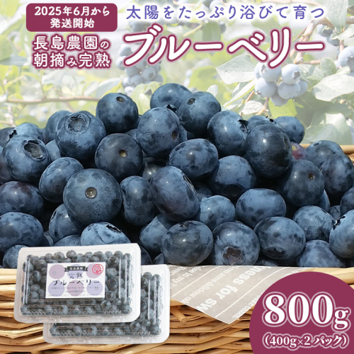 ブルーベリー 800g ( 400g × 2パック ) 【2025年6月から発送開始】 国産 茨城県産 ベリー フルーツ 果物 くだもの 自家製栽培[AK003sa] 1538963 - 茨城県桜川市