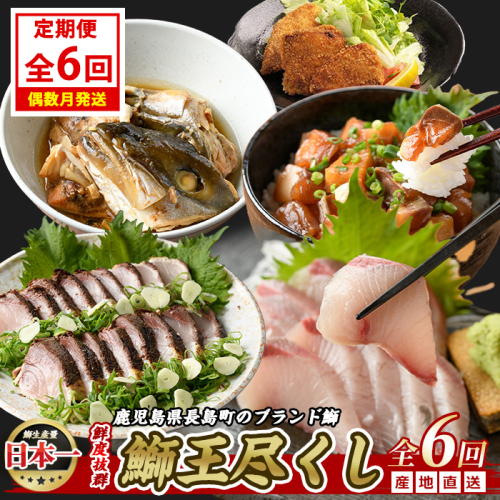 ＜定期便・2ヶ月毎 全6回＞ 鰤づくしの定期便 長島町特産「鰤王」新物鰤 ロイン フィレ 鰤カツ 漬け鰤 あら煮 鰤王タタキ 国産 鹿児島県産 産地直送【JFA】jfa-1388B 1539037 - 鹿児島県長島町
