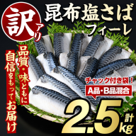 訳あり!昆布塩さばフィーレ(A品B品混合2.5kg) 大容量 ボリューム サバ 鯖 フィレ 魚介類 海産物 海鮮 海の幸 おかず おつまみ 惣菜 グリル 焼き魚 煮魚 切り身 昆布 塩サバ 脂 ご家庭用 リピート [グローバルフーズ]a-12-343-z