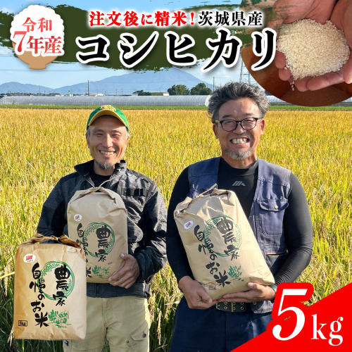 【令和7年】茨城県産 コシヒカリ 5kg 令和7年産 単一原料米 精米 米 お米 コメ 白米 こしひかり 茨城県 [BC084sa] 1539198 - 茨城県桜川市