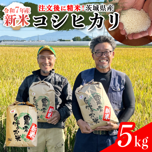 【令和7年】茨城県産 コシヒカリ 5kg 令和7年産 新米 単一原料米 精米 米 お米 コメ 白米 こしひかり 茨城県 [BC084sa] 1539198 - 茨城県桜川市