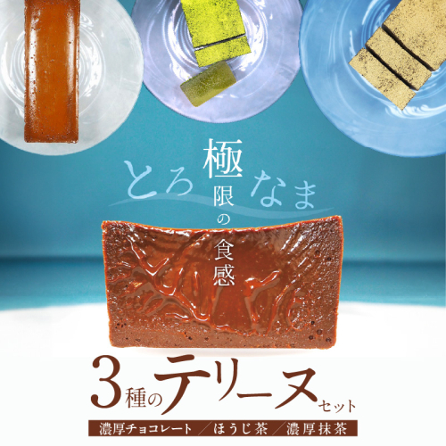 【テリーヌ専門店L】（約２００g）濃厚抹茶・濃厚チョコレート・ほうじ茶3種のテリーヌセット【グルテンフリー・保存料不使用】抹茶 スイーツ 西尾抹茶 H173-035 1539250 - 愛知県碧南市