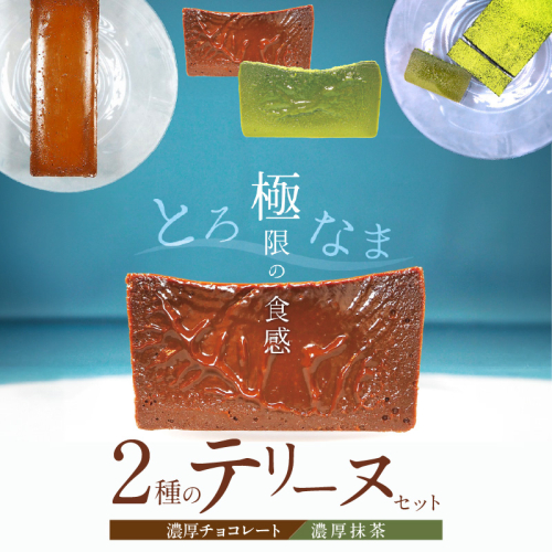 【テリーヌ専門店L】（約２００g）濃厚抹茶・濃厚チョコレート2種のテリーヌセット【グルテンフリー・保存料不使用】抹茶 スイーツ 西尾抹茶 H173-036 1539251 - 愛知県碧南市