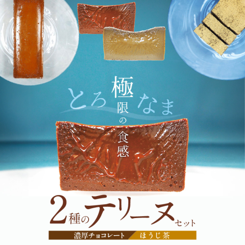 【テリーヌ専門店L】（約２００g）濃厚チョコレート・ほうじ茶2種のテリーヌセット【グルテンフリー・保存料不使用】 スイーツ H173-037 1539260 - 愛知県碧南市