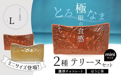 ミニサイズ濃厚チョコレート・ほうじ茶2種のテリーヌセット【グルテンフリー・保存料不使用】 スイーツ H173-011 1539260 - 愛知県碧南市