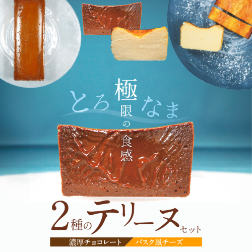 【テリーヌ専門店L】（約２００g）濃厚チョコレート・バスク風チーズ2種のテリーヌセット【グルテンフリー・保存料不使用】 スイーツ H173-012 1539346 - 愛知県碧南市