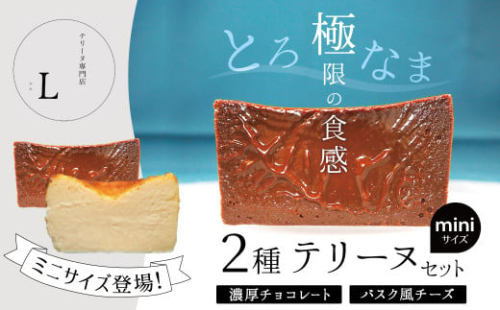 ミニサイズ濃厚チョコレート・バスク風チーズ2種のテリーヌセット【グルテンフリー・保存料不使用】 スイーツ H173-012 1539346 - 愛知県碧南市