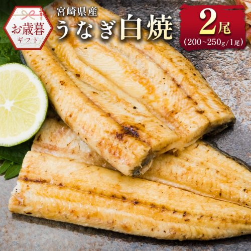 お歳暮対応「玄人の一品」うなぎ 白焼き ギフト 2尾（200～250g/1尾あたり) 宮崎県産鰻 蒲焼きタレ付（50ml×1本）配送日指定可 国産 有頭 熨斗 贈答品【N38】 1539729 - 宮崎県新富町