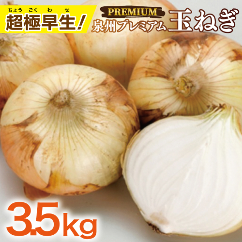 【先行予約】泉州たまねぎ 3.5kg【超極早生 玉ねぎ 農家直送 新鮮 野菜 やさい 期間限定】 G1445 1539763 - 大阪府泉佐野市