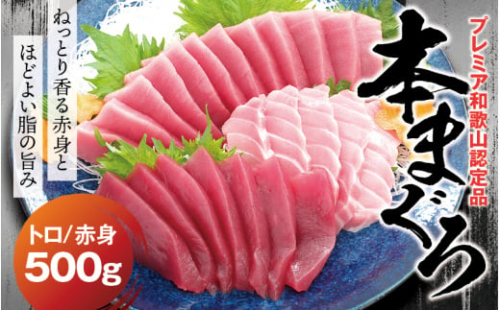 【期間限定 特別寄付額】本マグロ（養殖）トロ＆赤身セット 500g 【1月発送】高級 クロマグロ  中トロ 中とろ まぐろ マグロ 鮪 赤身 柵 じゃばらまぐろ 本マグロ 本鮪【nks110B_cp-1】 1540120 - 和歌山県新宮市