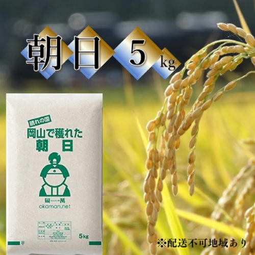 令和6年産 朝日 5kg (5kg×1袋) 岡山県産 精米 お米 1540184 - 岡山県玉野市