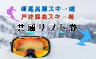 飯山市内2スキー場 共通リフト引換券1枚(C-2.6)