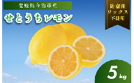 【有機】せとうちレモン　今治産　5kg【K002330KG5】