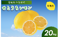 せとうちレモン　今治産　20kg【K002320KG20】