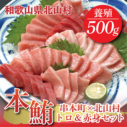 【串本町×北山村】本マグロ（養殖）トロ＆赤身セット500ｇ【12月発送】【nks110-12】 1540498 - 和歌山県北山村